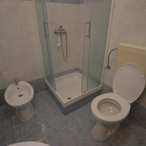 Bathroom / WC, Villa Silvio, Mesites Croatia Praha