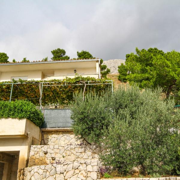 Villa Vanessa, Mesites Croatia Praha